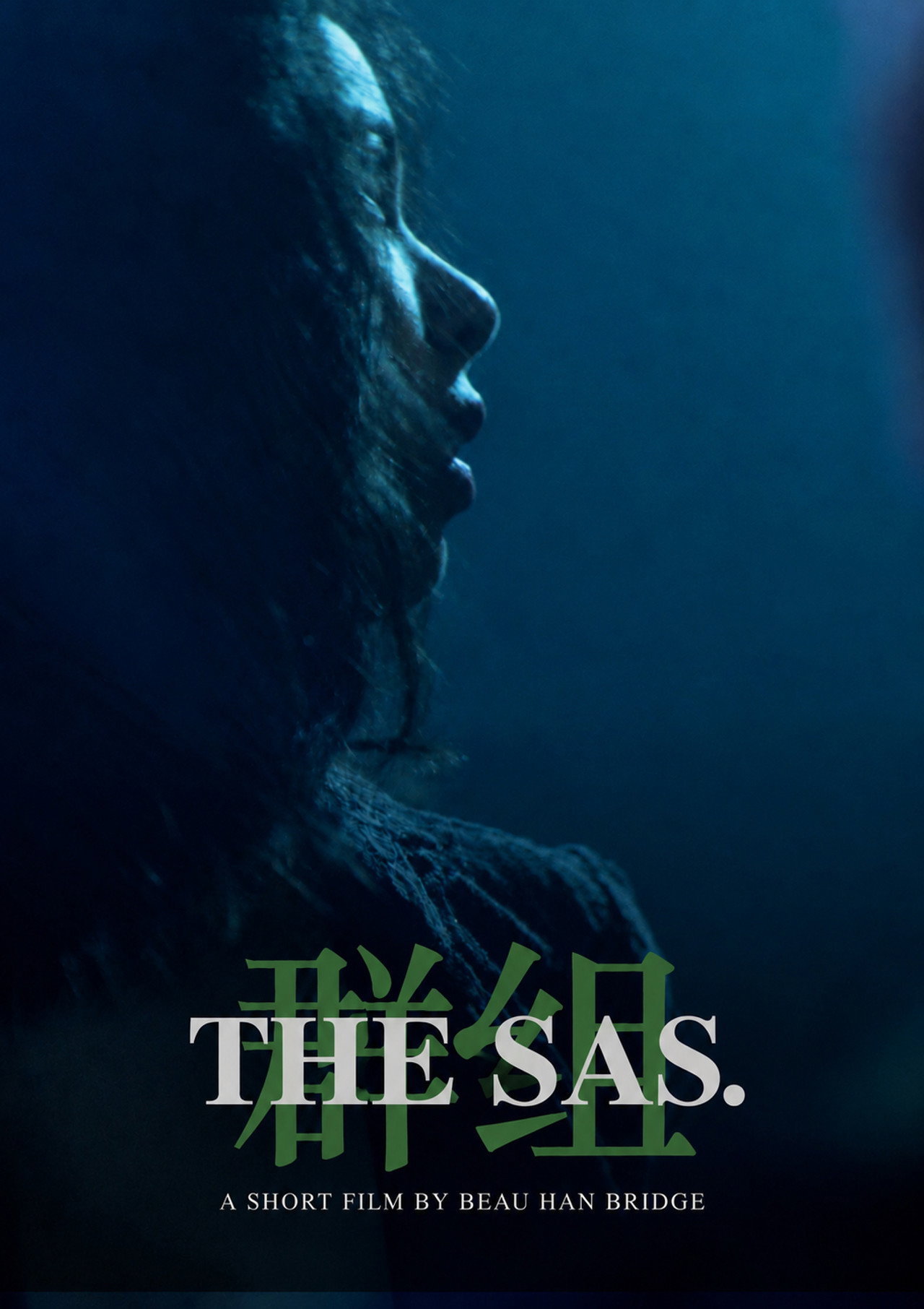 The SAS poster
