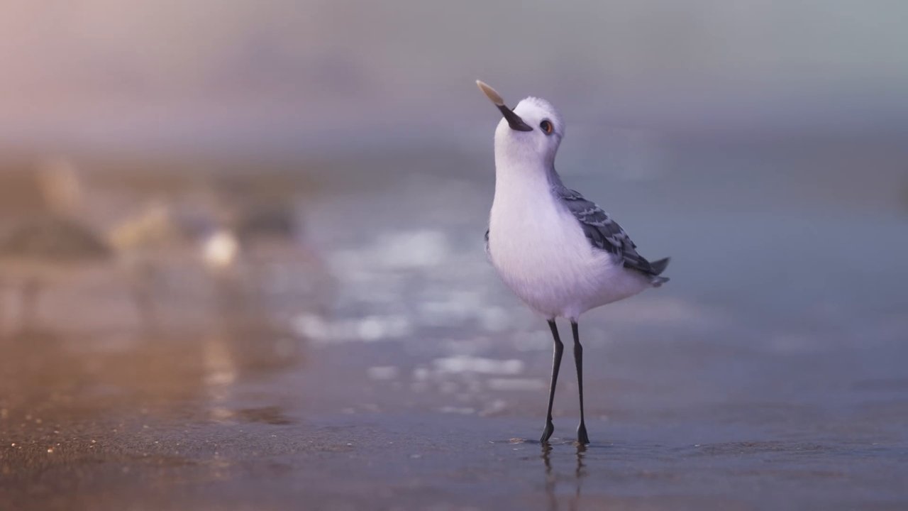 Piper