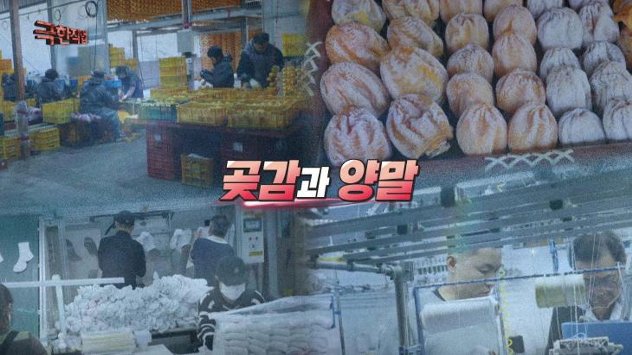 Extreme Job - Season 1 Episode 1209 : Episode 1209