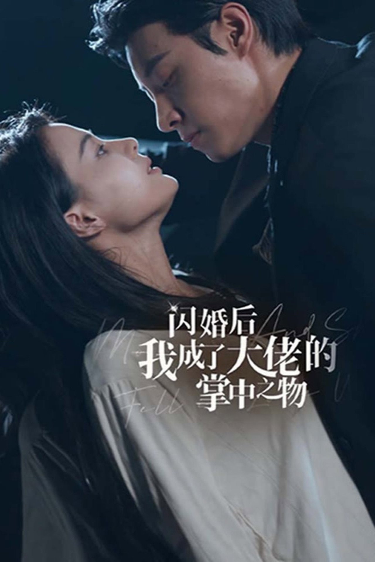 闪婚后我成了大佬的掌中之物 affisch
