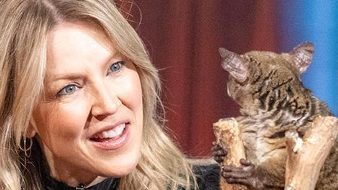 Les poilus — Épisode 11