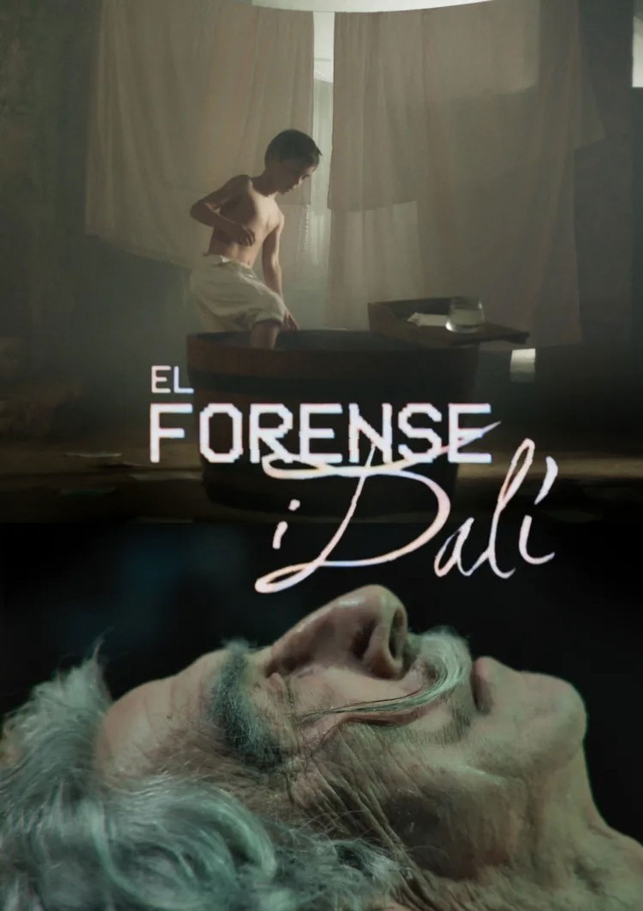 El forensi i Dalí backdrop