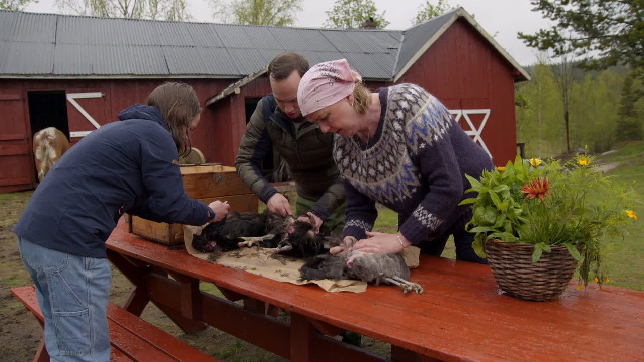 Farmen Kjendis — Épisode 1