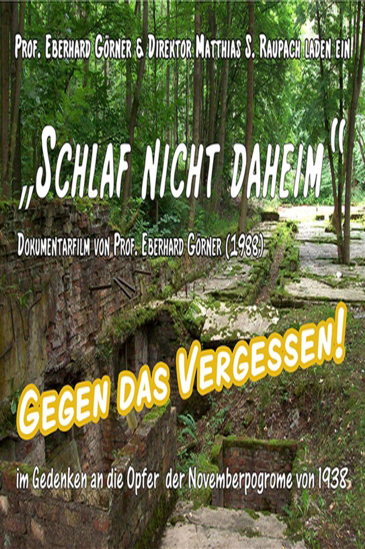Schlaf nicht Daheim filmaffisch