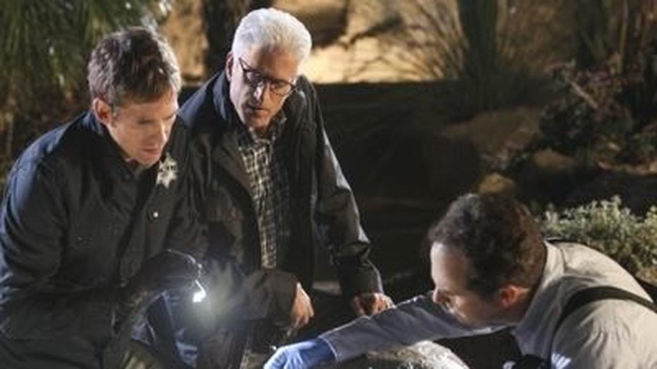 CSI: Crime Scene Investigation - Season 13 Episode 20 : Fearless