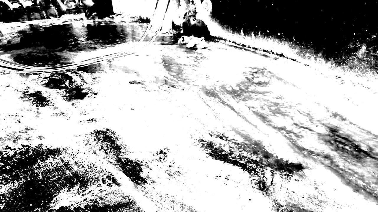 Trailer di The Death Ox Immagine di copertina del trailer di The Death Ox