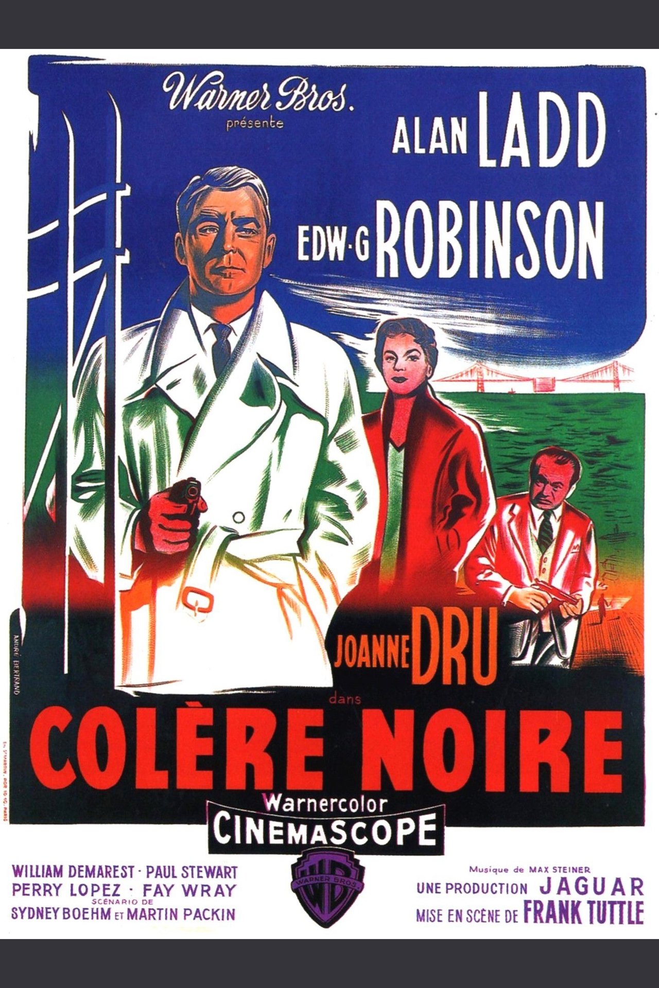 Colère noire poster