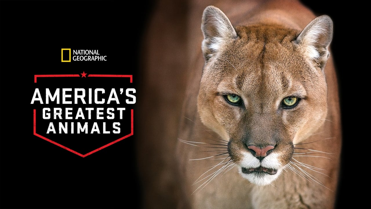 America's Greatest Animals background