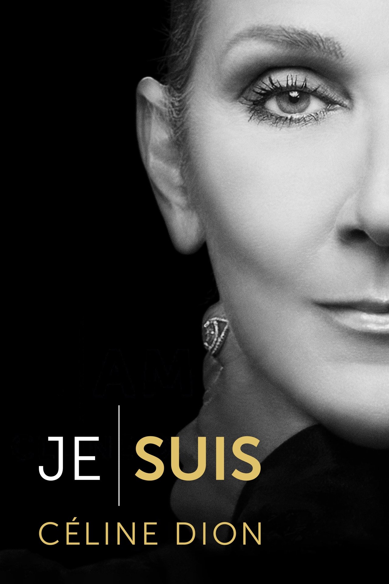 Je suis : Céline Dion poster
