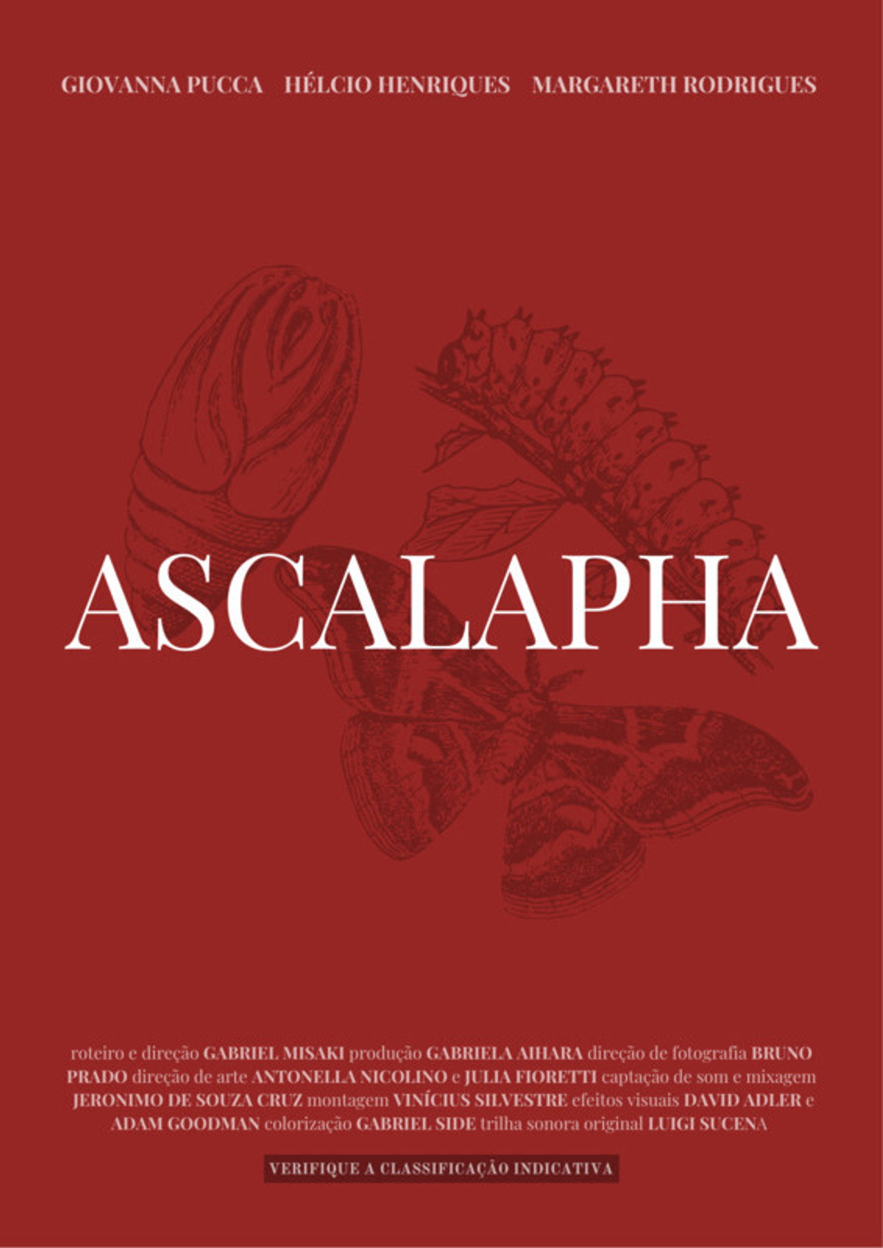 Ascalapha Backdrop
