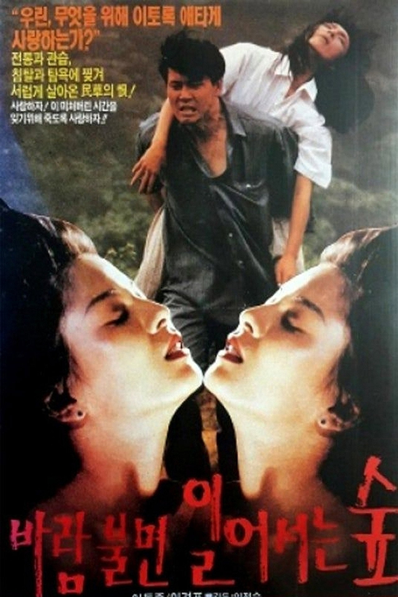 바람불면 일어서는 숲 filmaffisch
