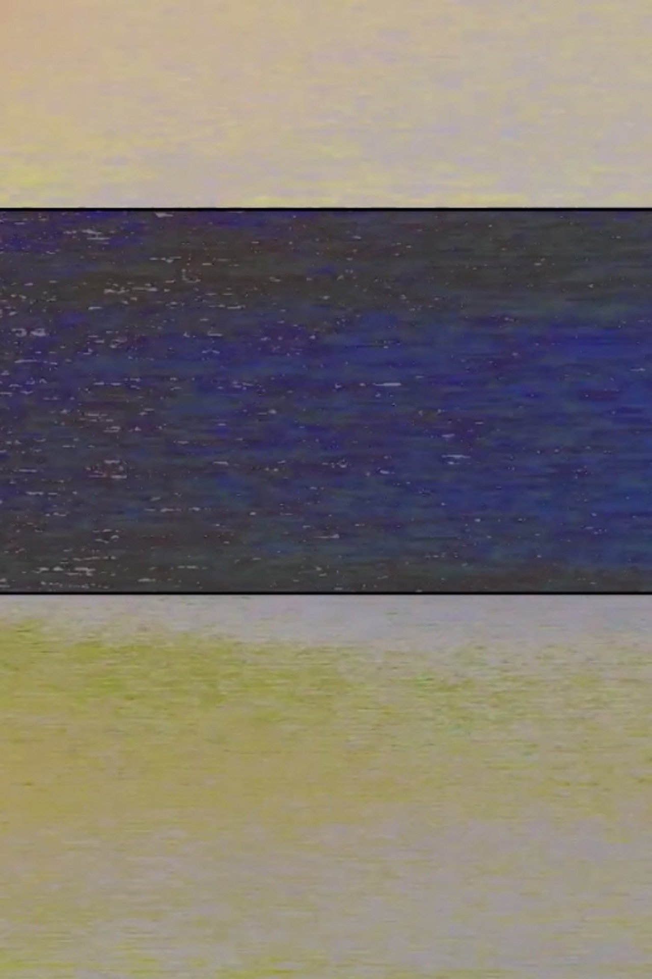 MONET VARIATION 1