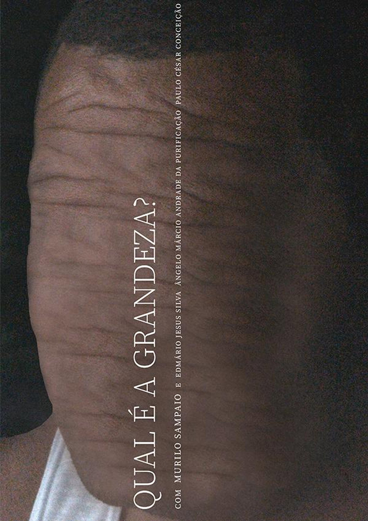 Qual é a Grandeza? filmaffisch