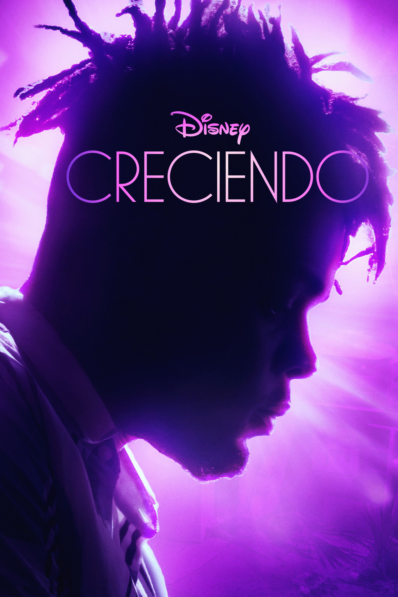 Póster de Creciendo