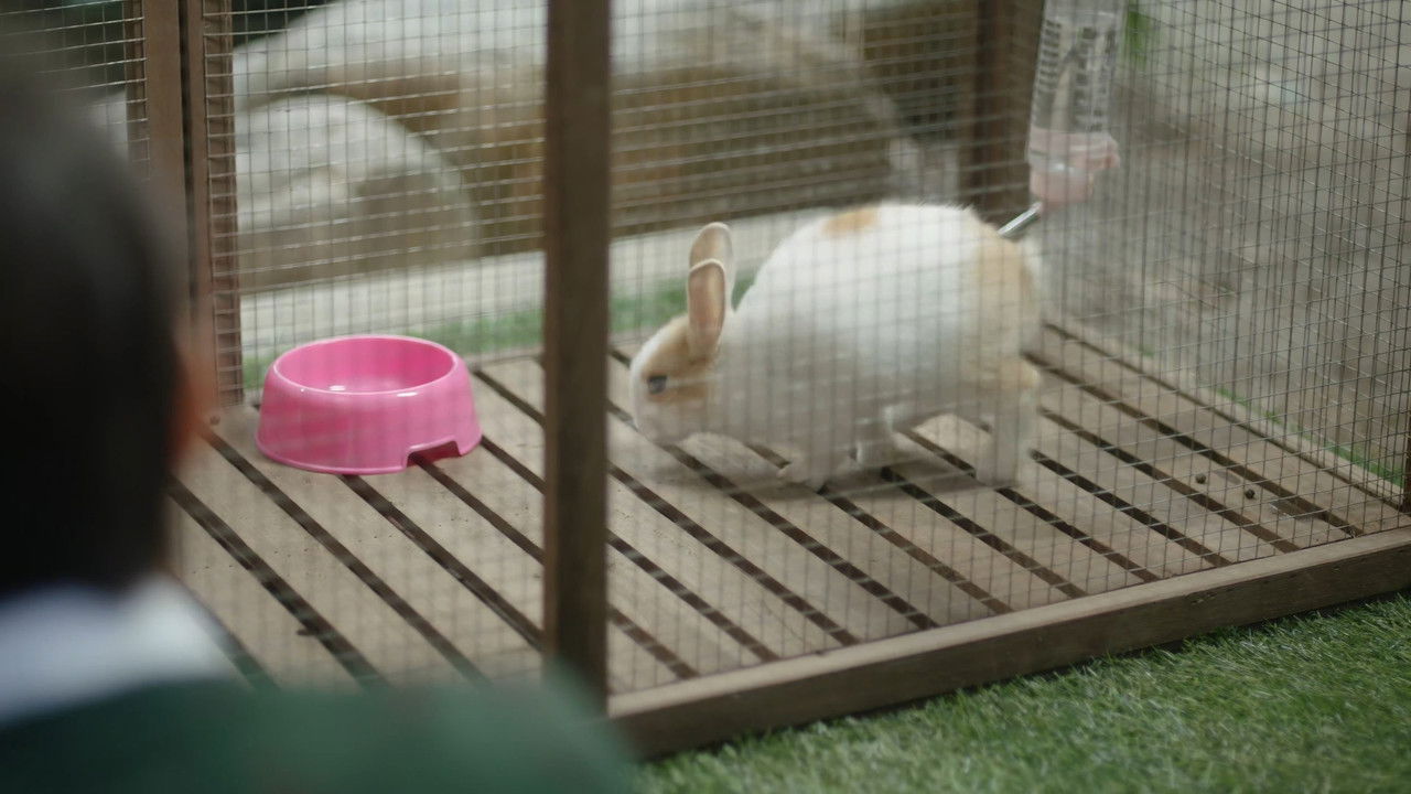 正義女神 — Épisode 4