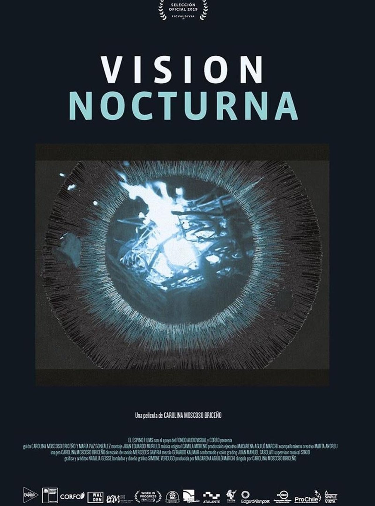 Vision nocturna poster
