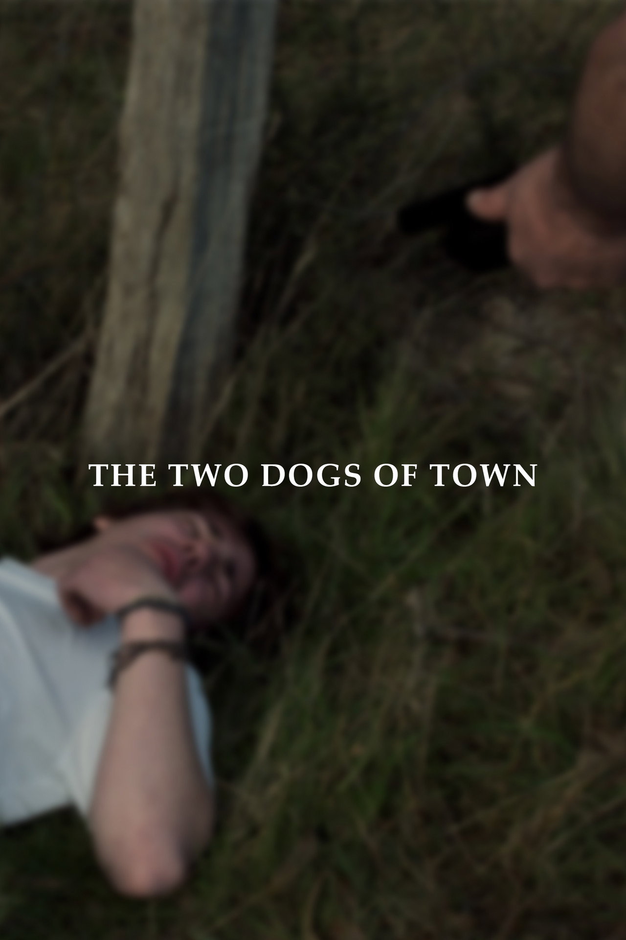 The Two Dogs of Town filmaffisch