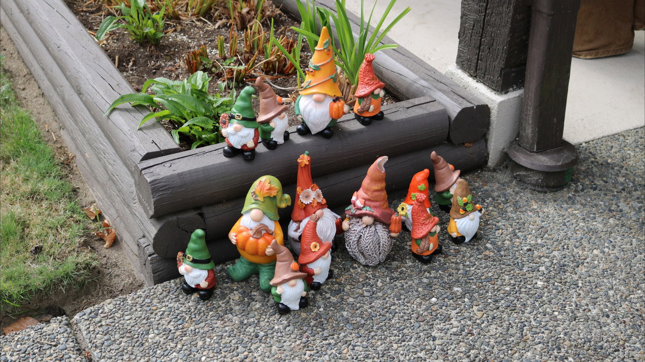 TAKES ONE TO GNOME ONE still 3