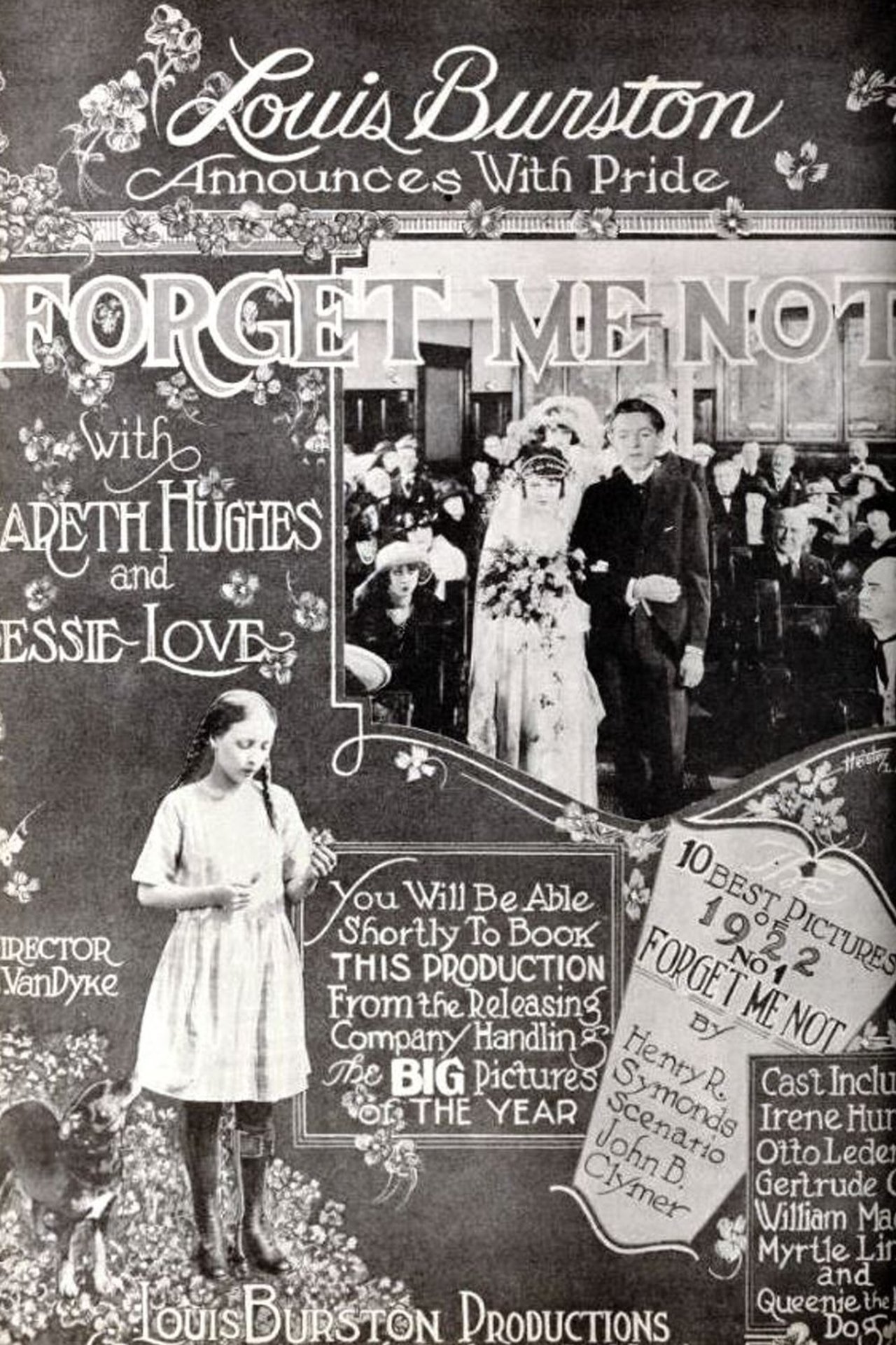 Forget Me Not Forget Me Not