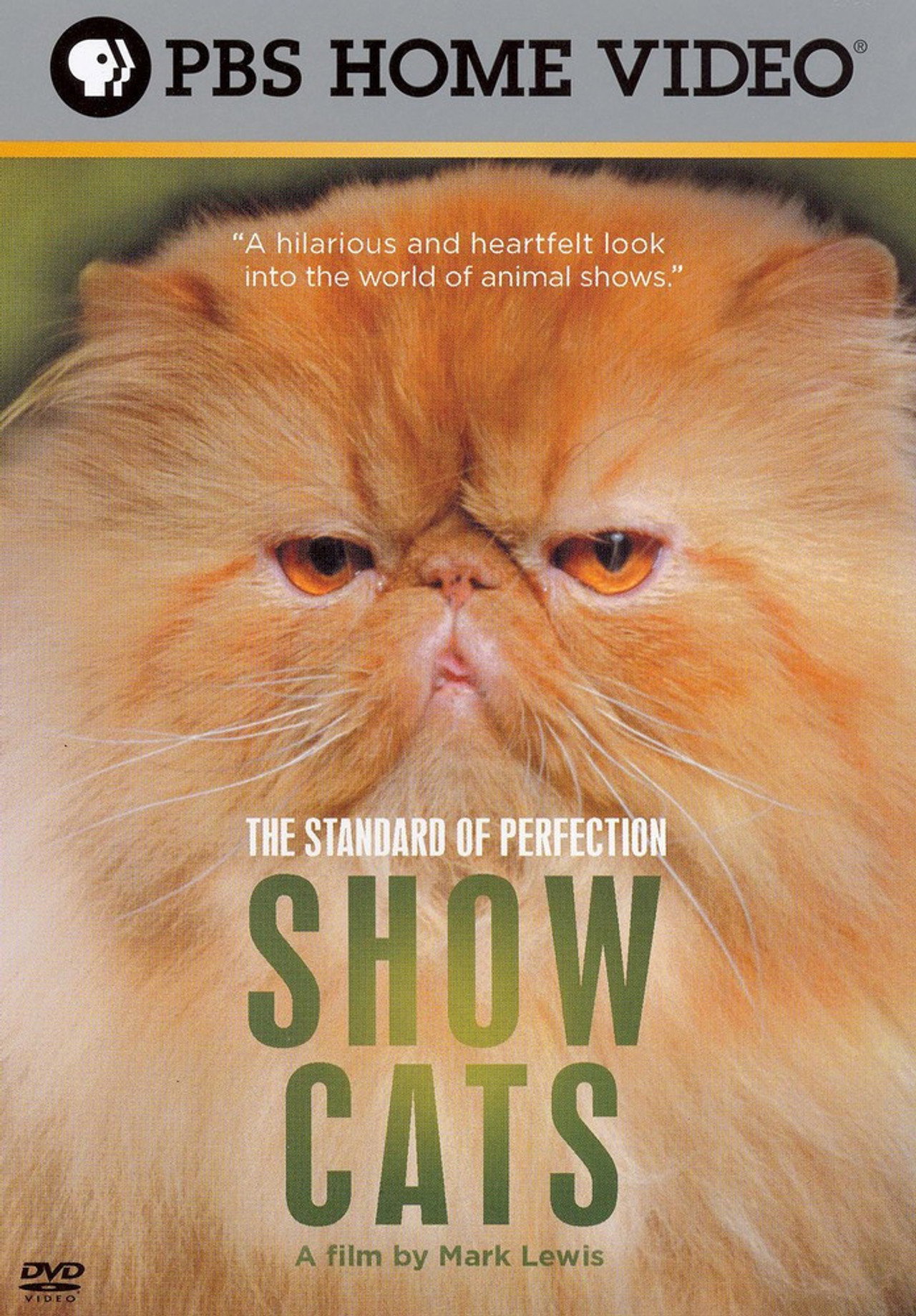 The Standard of Perfection: Show Cats