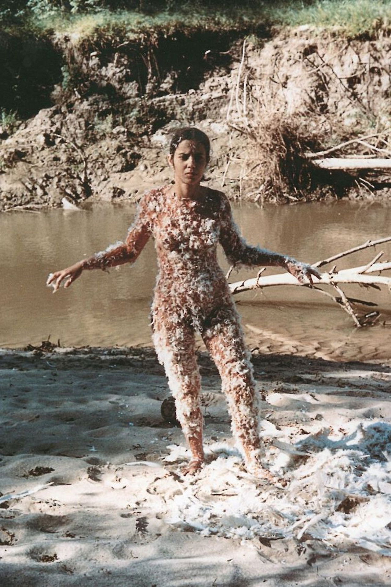 Blood + Feathers Backdrop