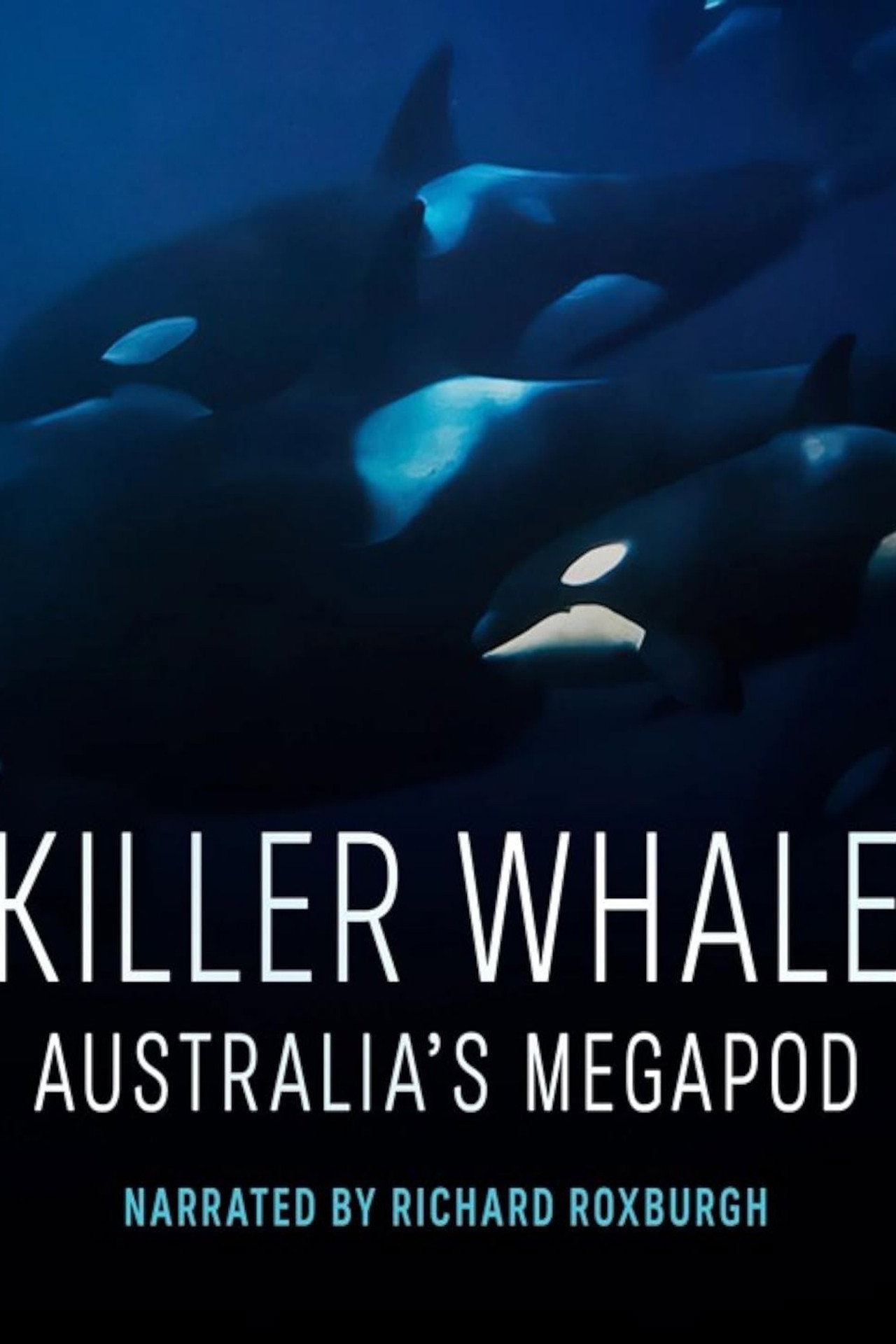 Killer Whale: Australia's Megapod filmaffisch
