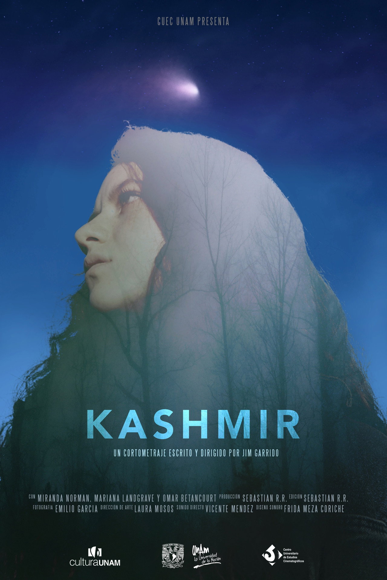 Banner Kashmir