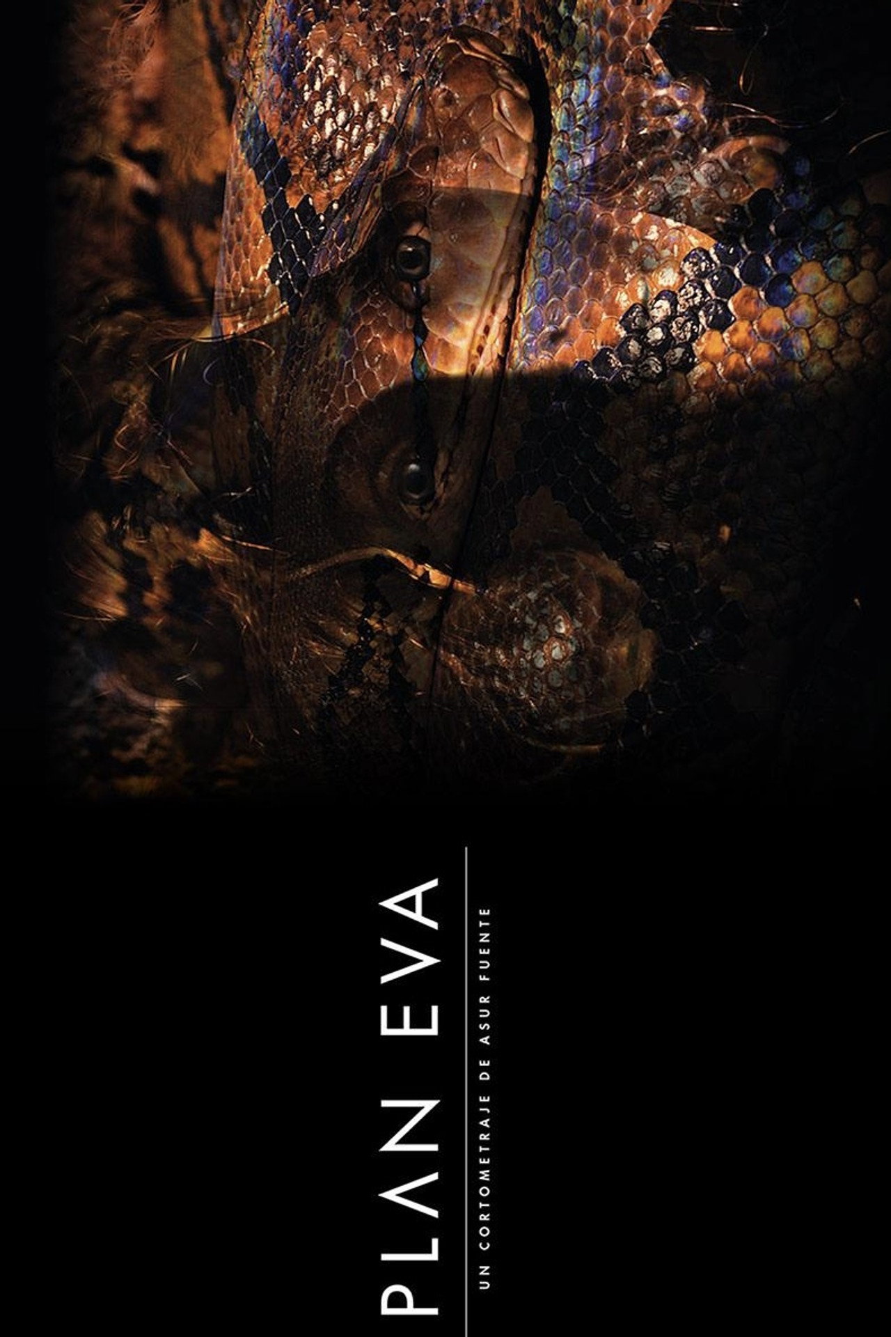 Plan Eva