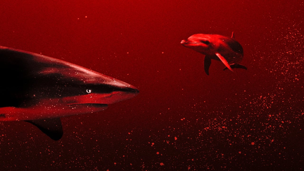 Scen från Sharks vs. Dolphins: Blood Battle