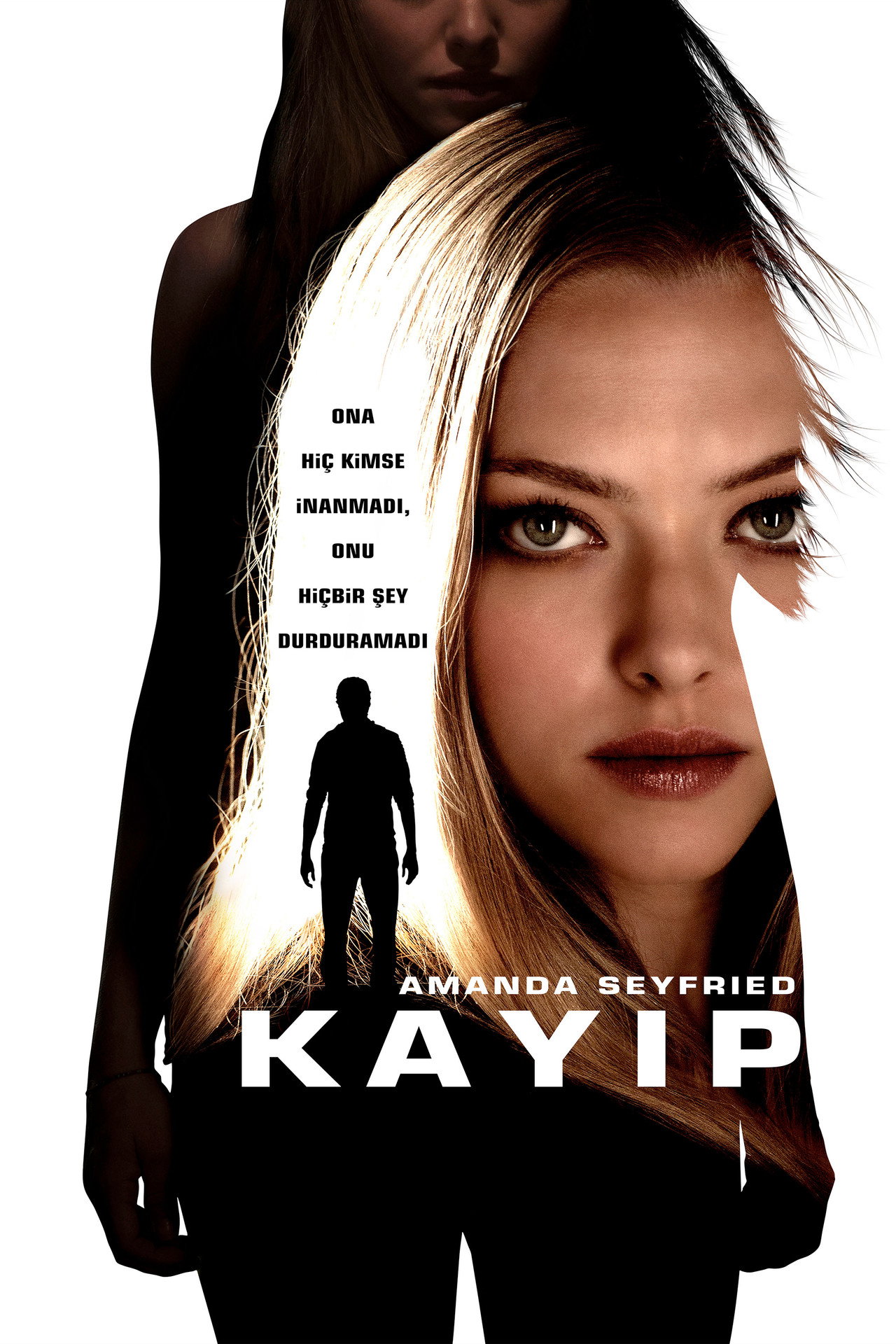Kayıp Poster
