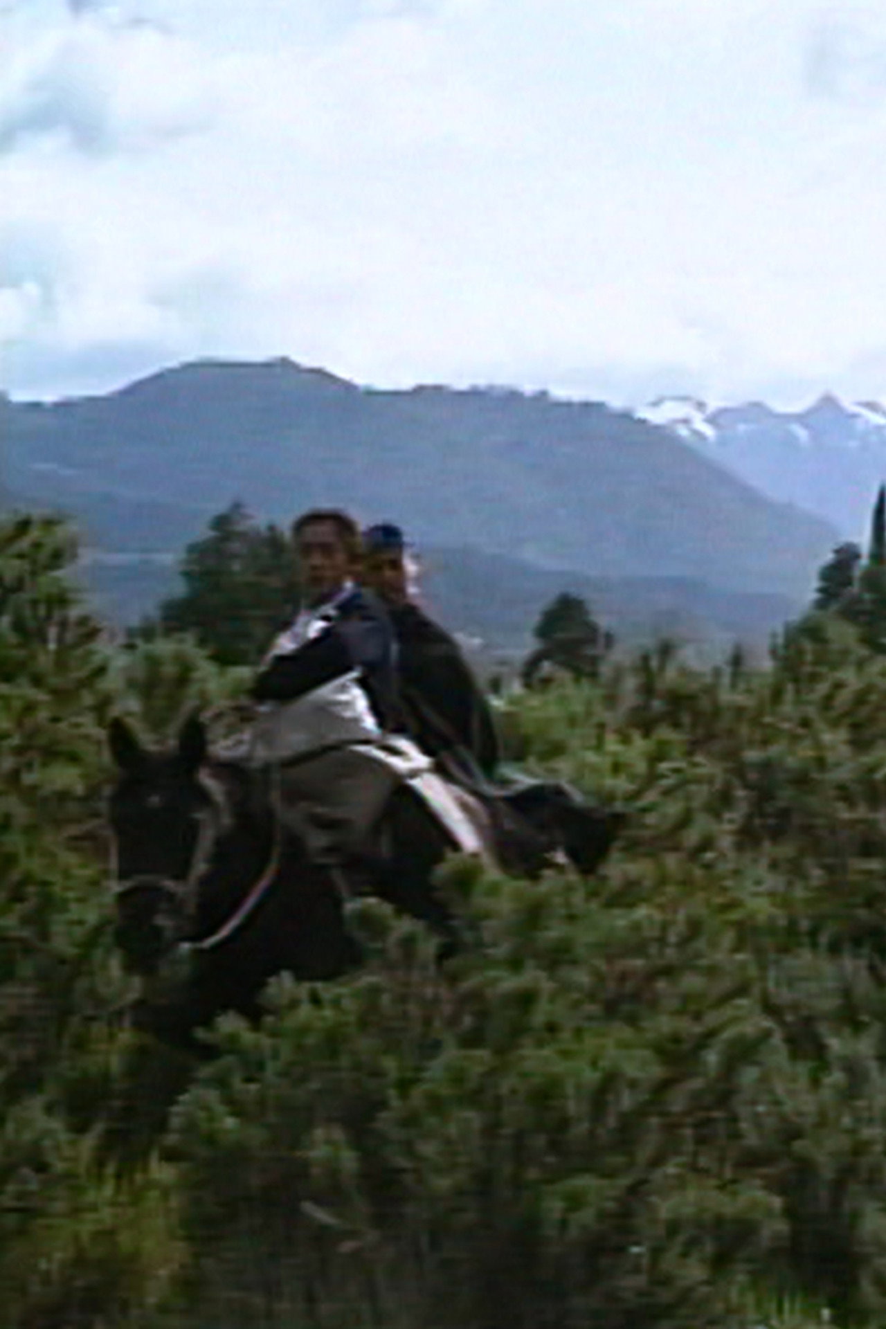 Mapuches: El país de antaño filmaffisch