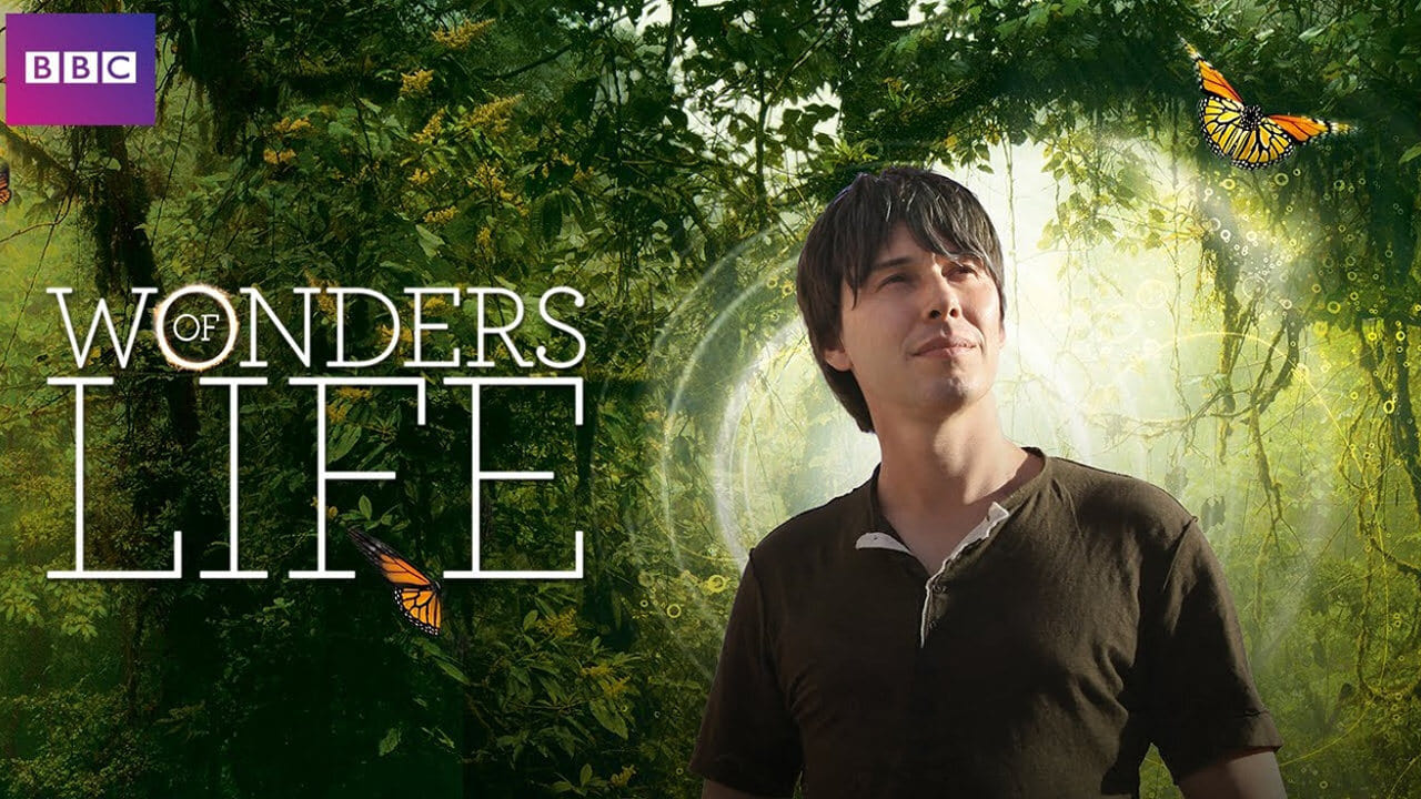 Wonders of Life background