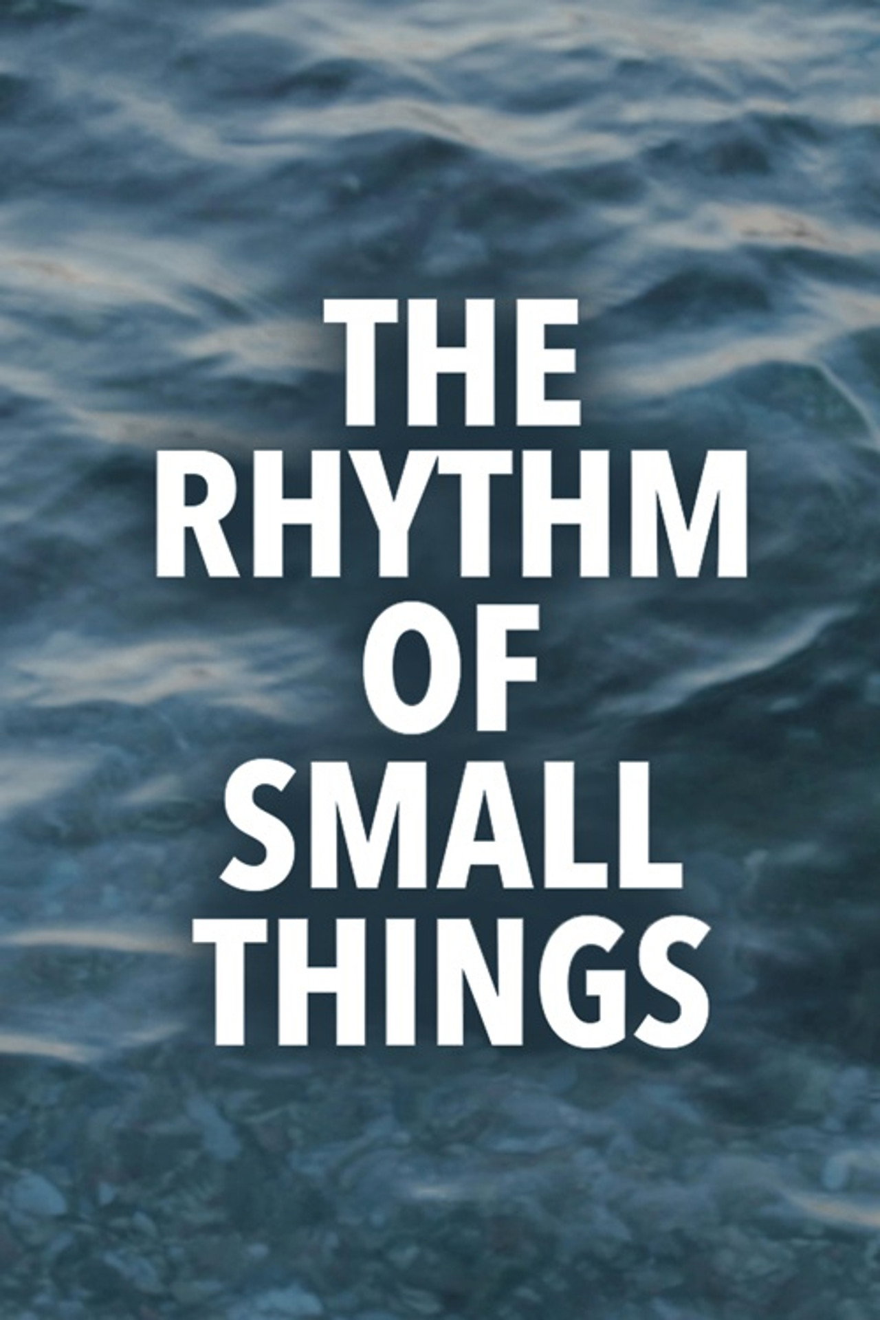 The Rhythm of Small Things (2020)