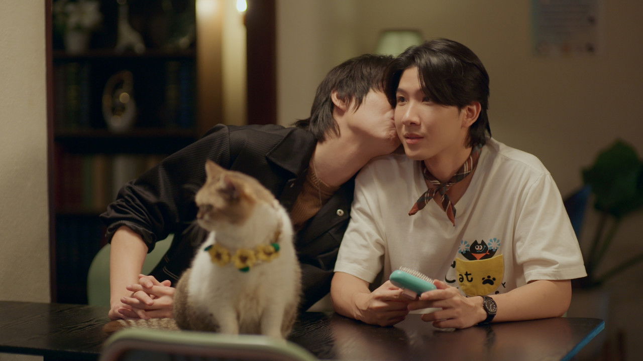 เปย์รักด้วยแมวเลี้ยง — Épisode 9