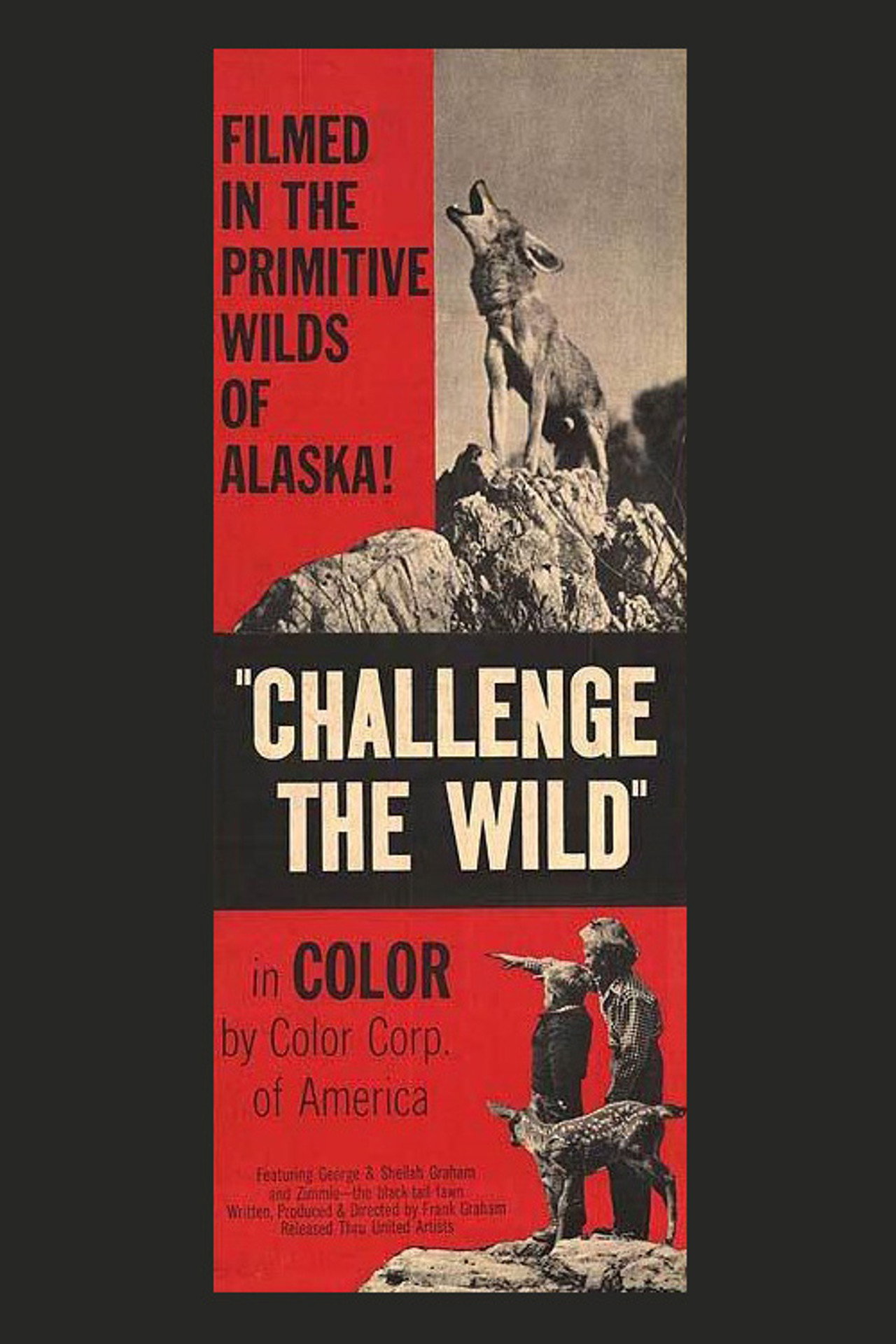 Challenge the Wild Backdrop