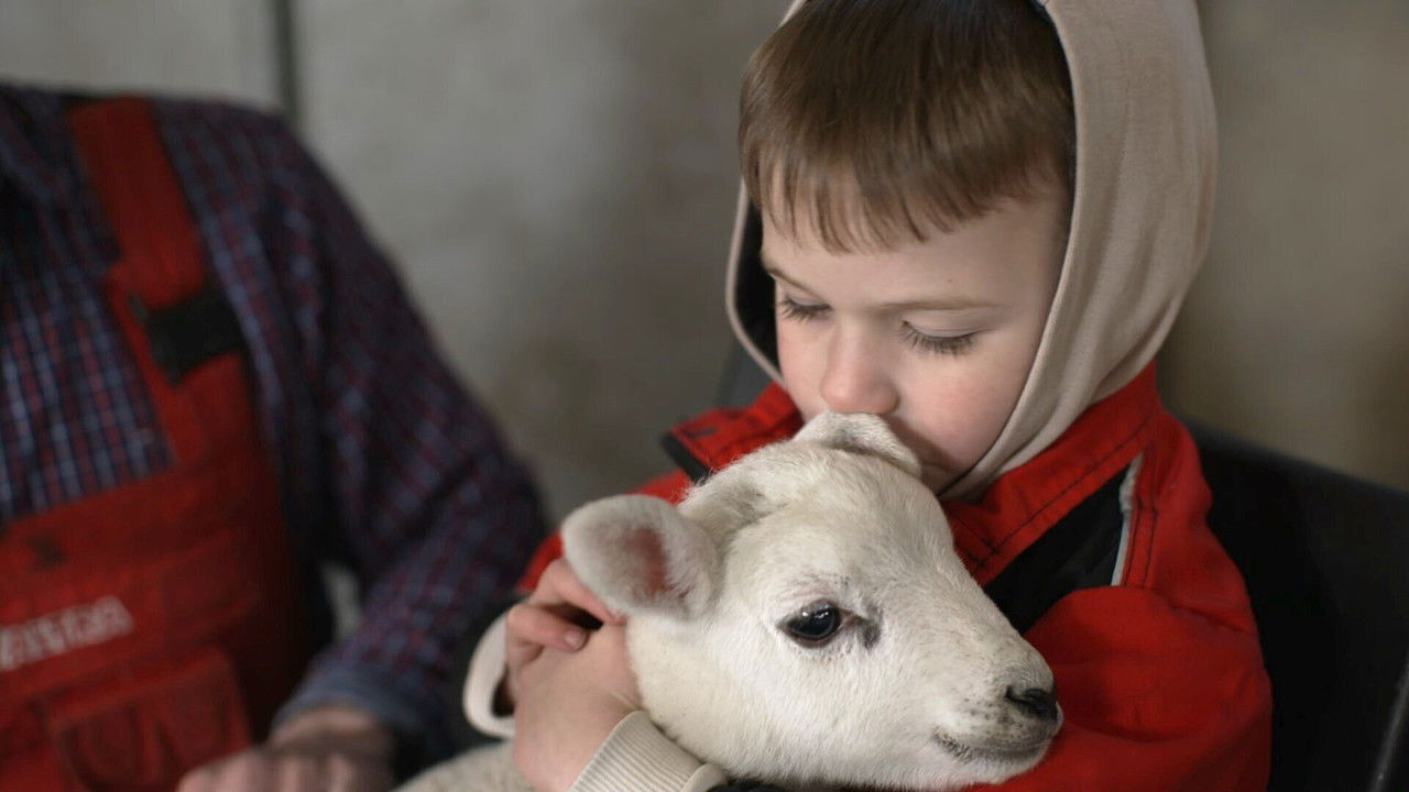 Fletchers' Family Farm — Épisode 3