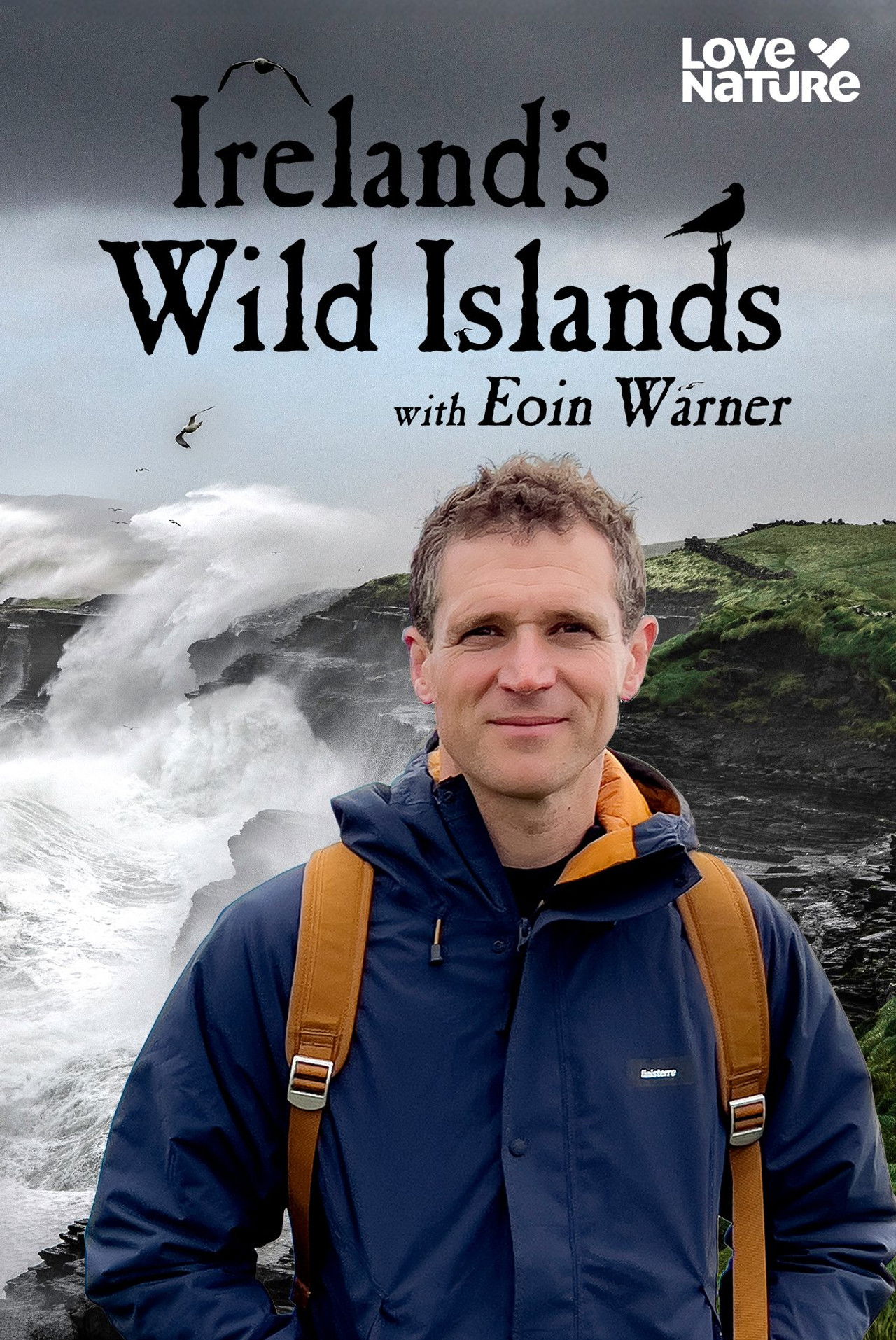 Ireland's Wild Islands poster