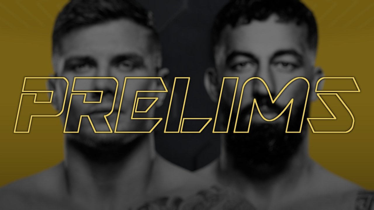 UFC Fight Night 254: Vettori vs. Dolidze 2