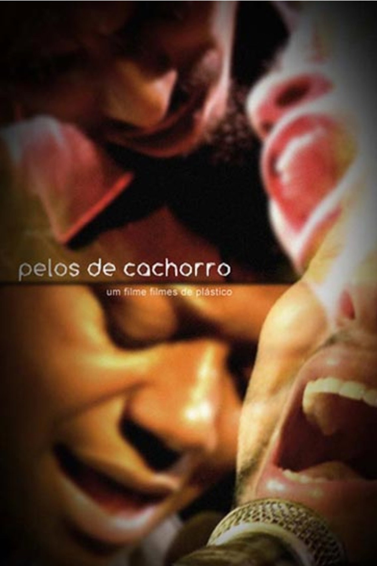 Pelos de Cachorro filmaffisch