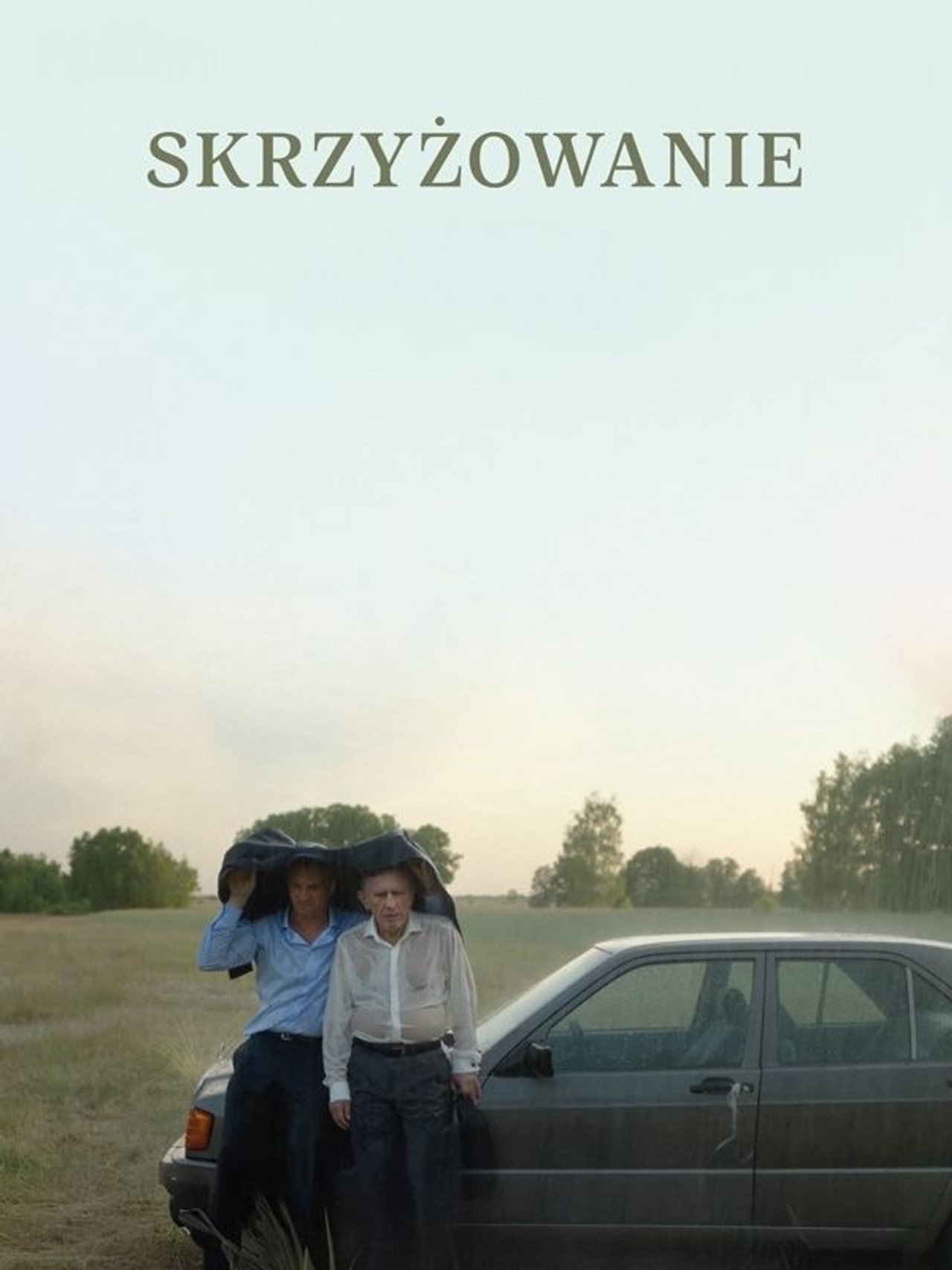 Skrzyżowanie filmaffisch