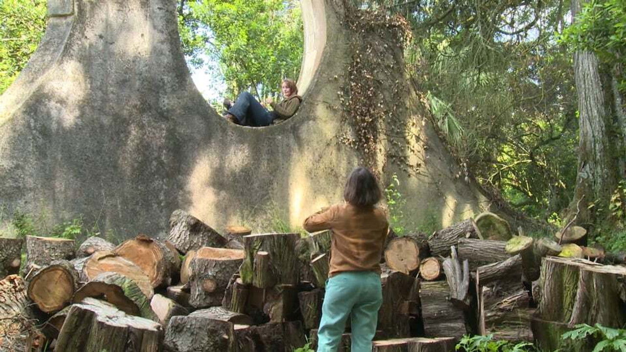 Philosophical Journeys