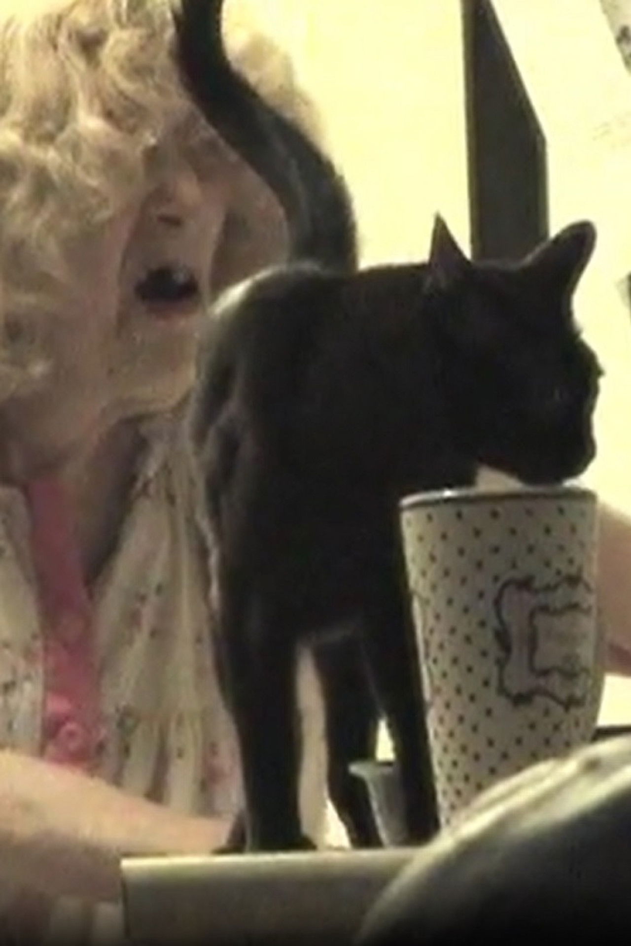 The Butchered Beefcake Backdrop