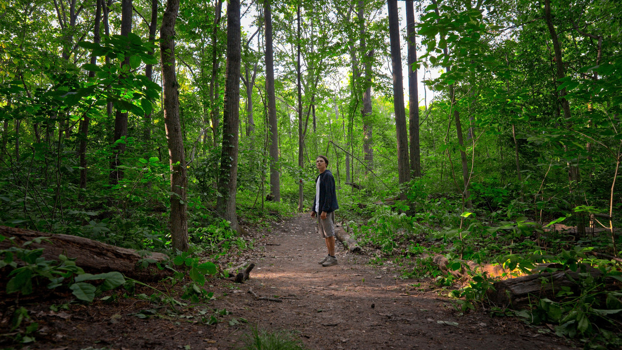 Lost Together backdrop