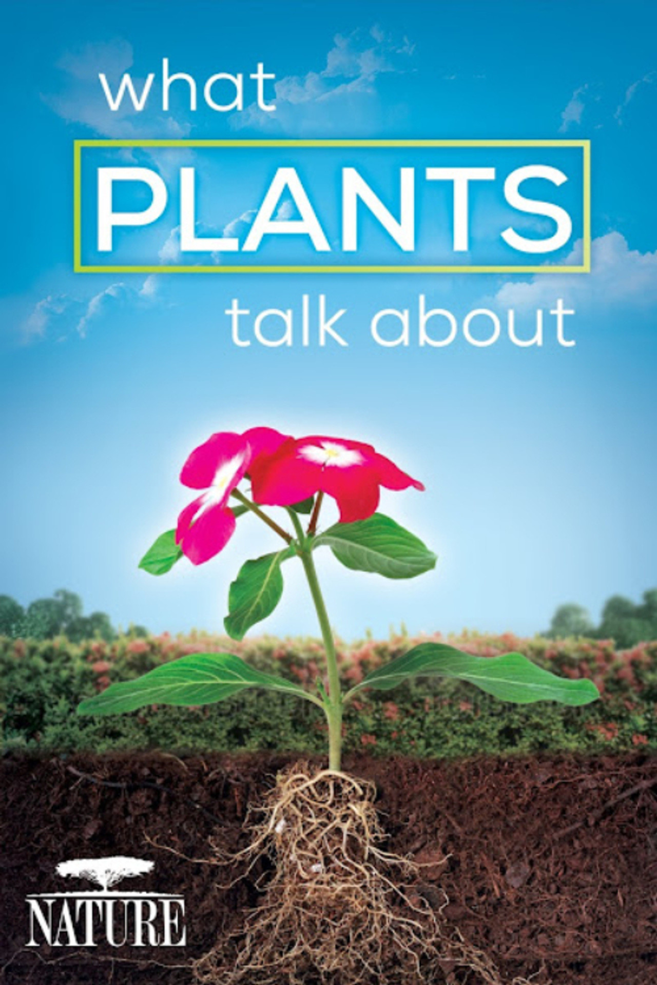 What Plants Talk About (2013)