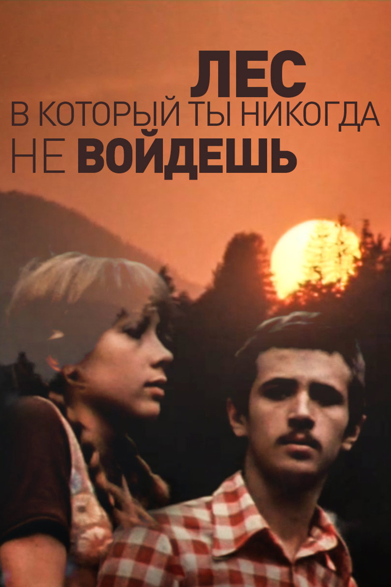 The Forest You'll Never Enter