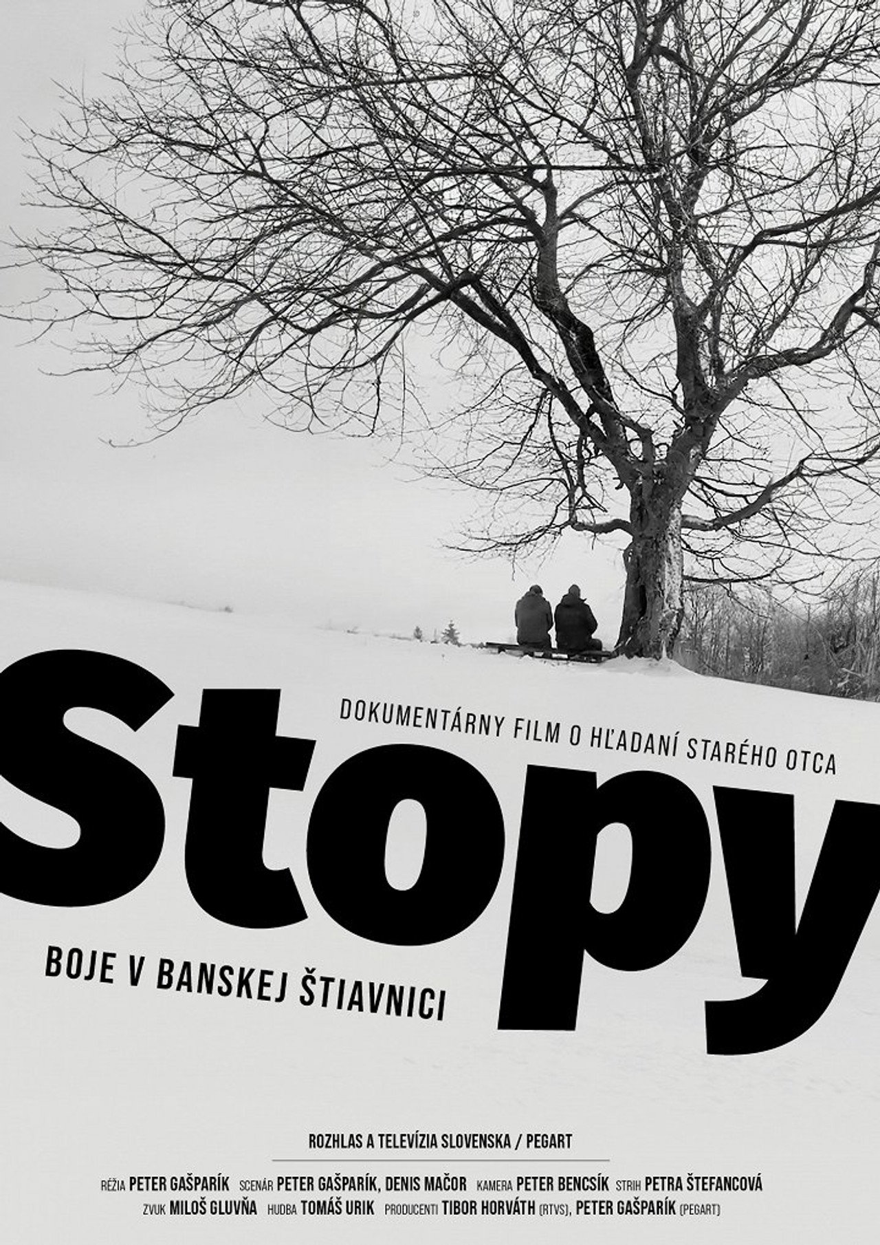 Footprints: Fighting in Banská Štiavnica Backdrop