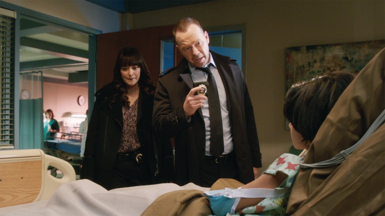 Blue Bloods - Season 7 Episode 13 : The One That Got Away