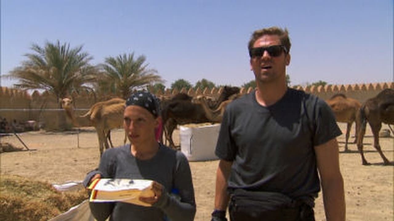 The Amazing Race - Season 23 Episode 8 : One Hot Camel