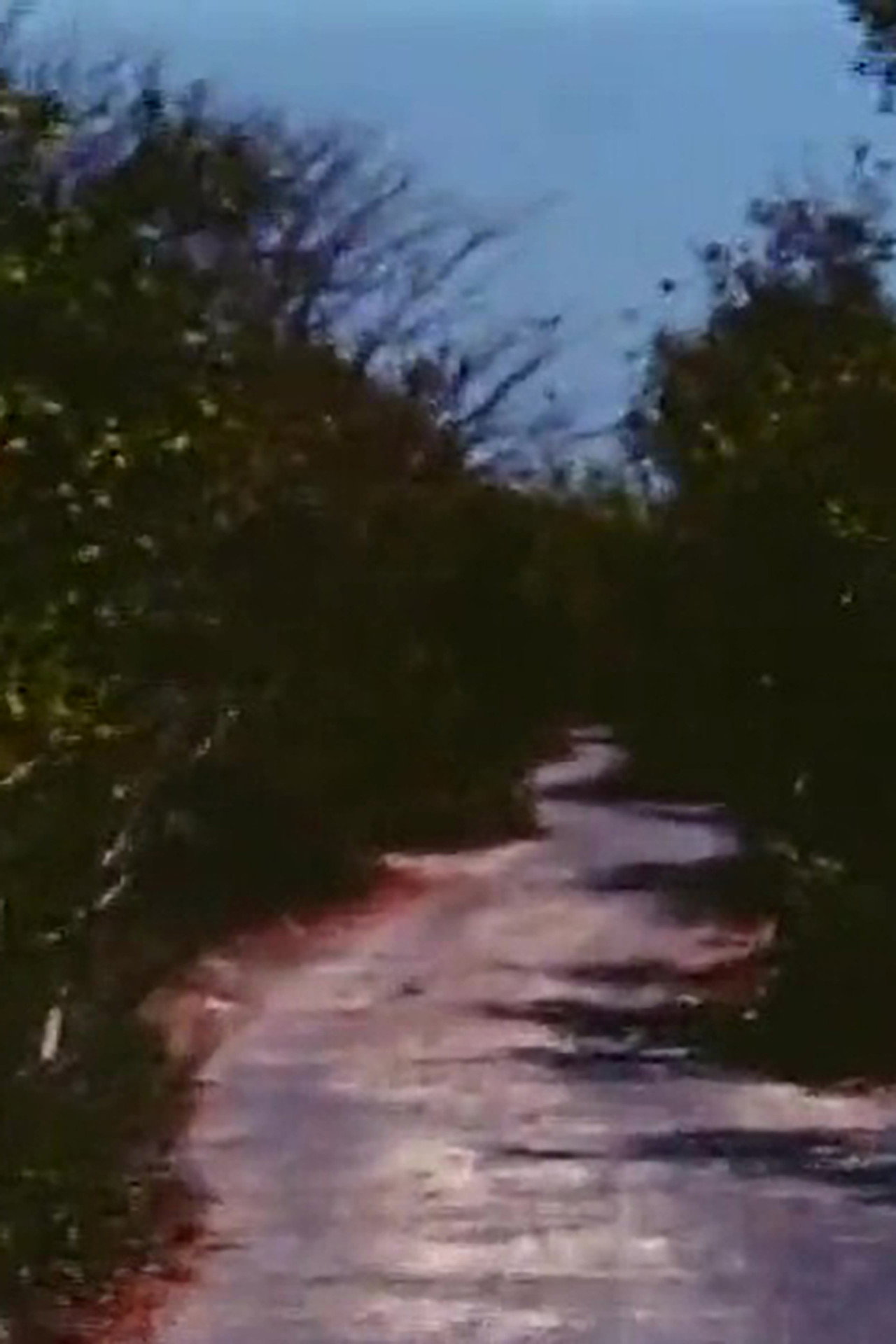 Road to Nowhere filmaffisch