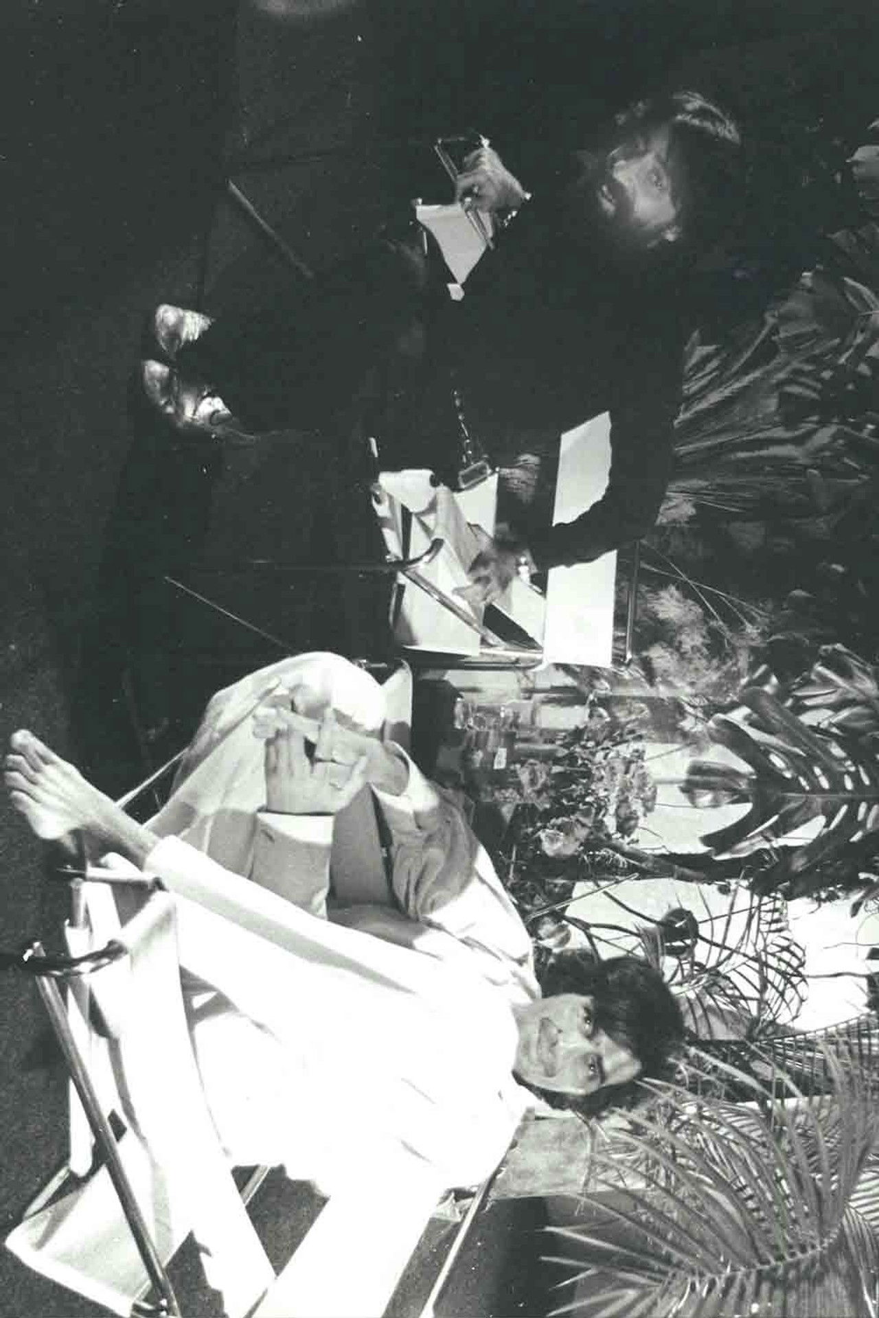 La Cotorra I Backdrop